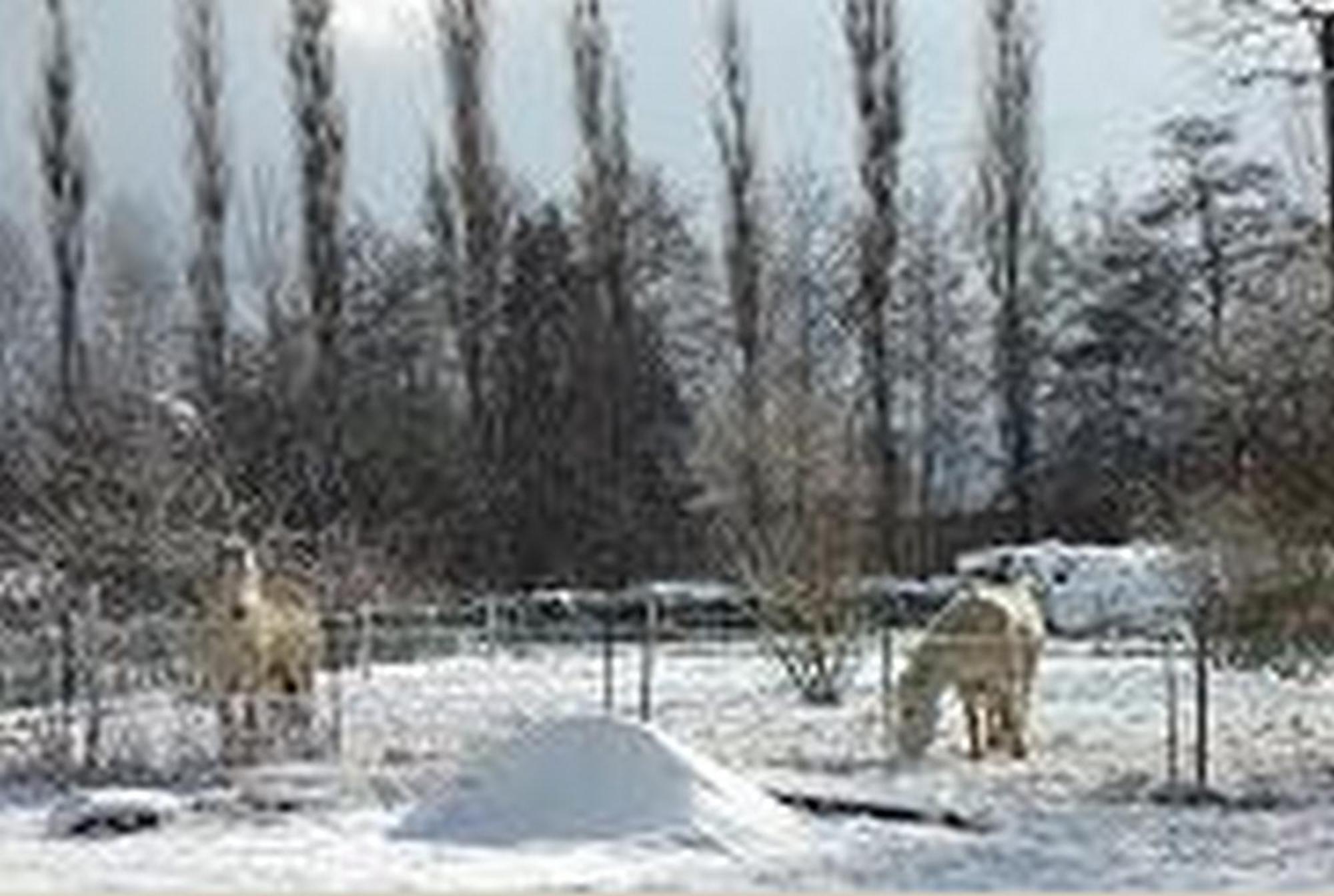Le Clos Pre La Voivre  Exterior photo